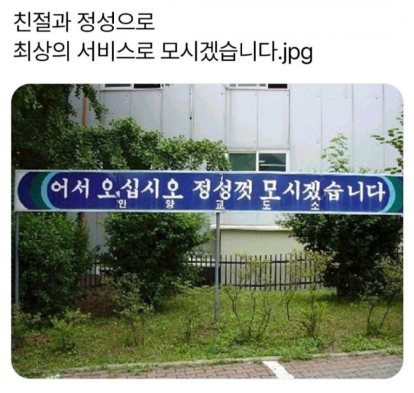 9c66984d759d0b08aa3cdd5576e5ca1d_1743183036_0752.JPG