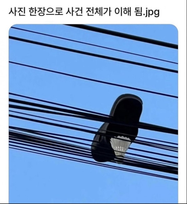 01f0cb34cbe008879222a7097a77ff3e_1749313901_996.JPG