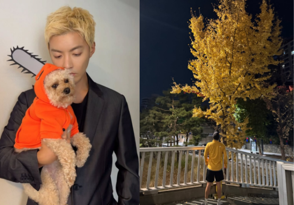 "♥이상화도 놀랐다" 강남, 다이어트+코 재수술 후 비주얼 대변신 작성자 정보  냥이얌얌작성 작성일