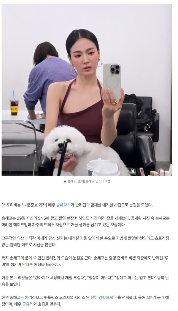 송혜교, 막 찍은 셀카도 여신이네…"무릎 위 반려견 부러워"