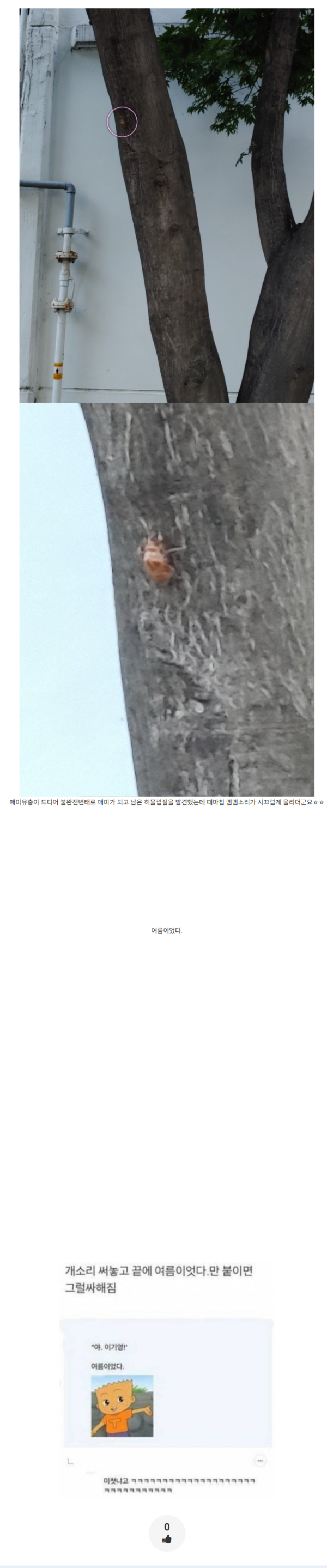 11cceb430b2e05ef0953430be4b4d2d8_1790998436_3738.png